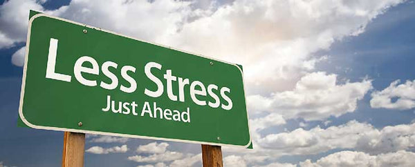 The Cortisol Conundrum