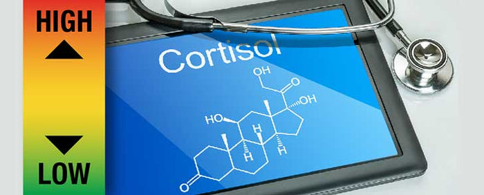 Stress and the hormone Cortisol