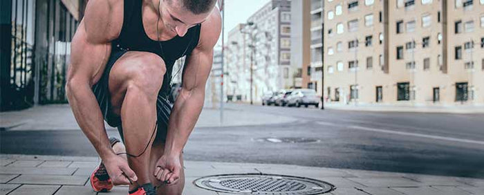Use Hammer Whey, Vegan, and Soy Protein for a Performance-Improving Edge