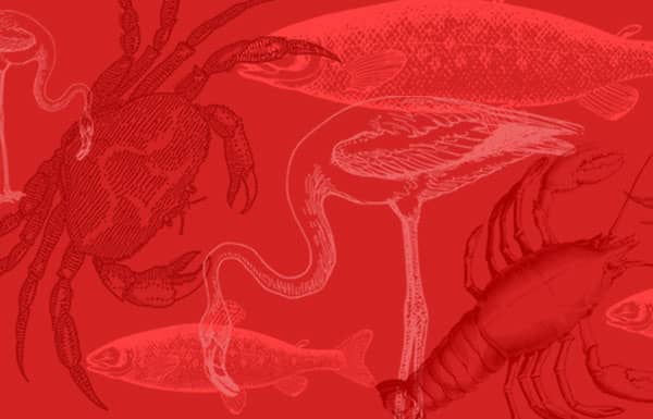 Astaxanthin's Amazing Benefits