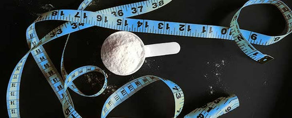 Why Whey Helps with Weight Loss
