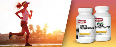 Glucosamine Supplementation Lowers Cancer Mortality Risk