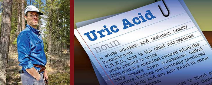 Uric Acid and Its Metabolic Effects, Part 1