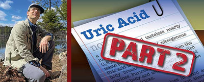 Uric Acid and Its Metabolic Effects, Part 2