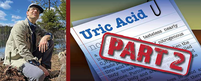Uric Acid and Its Metabolic Effects, Part 2