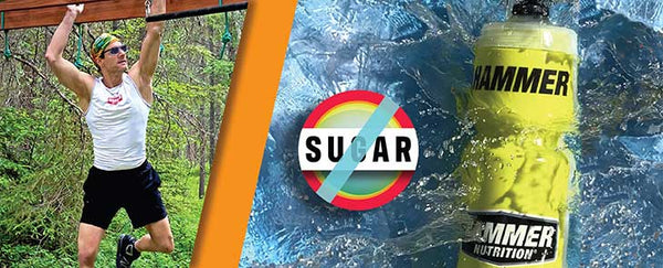 Sugar—The Antithetic Performance Enhancer