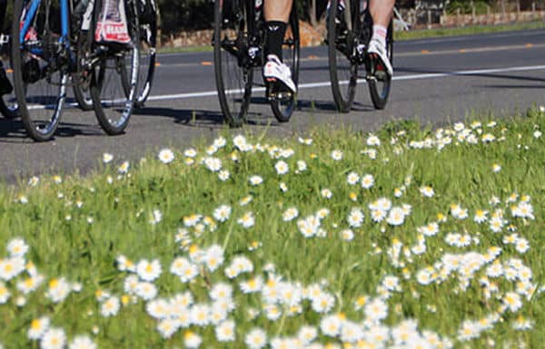 Stay ahead of spring allergies!