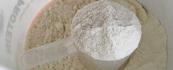 Why Whey?