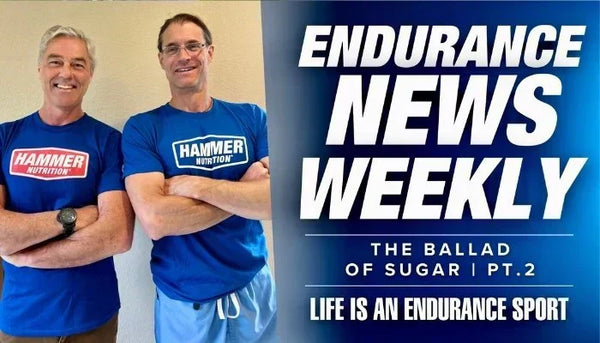 Ballad of Sugar part 2