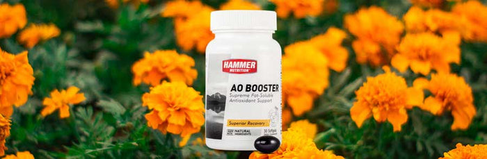 AO Booster is Back in a BIG Way!