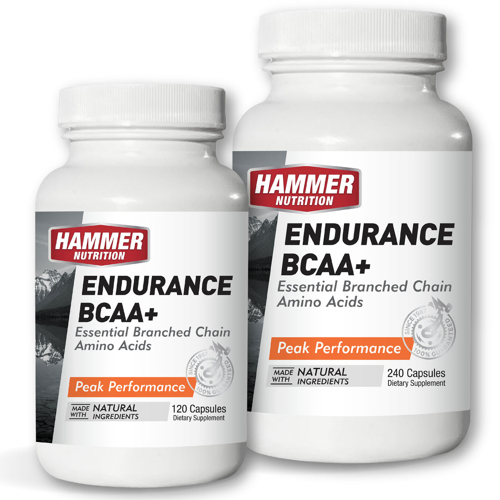 Endurance BCAA+ amino acid capsules from Hammer Nutrition Philippines