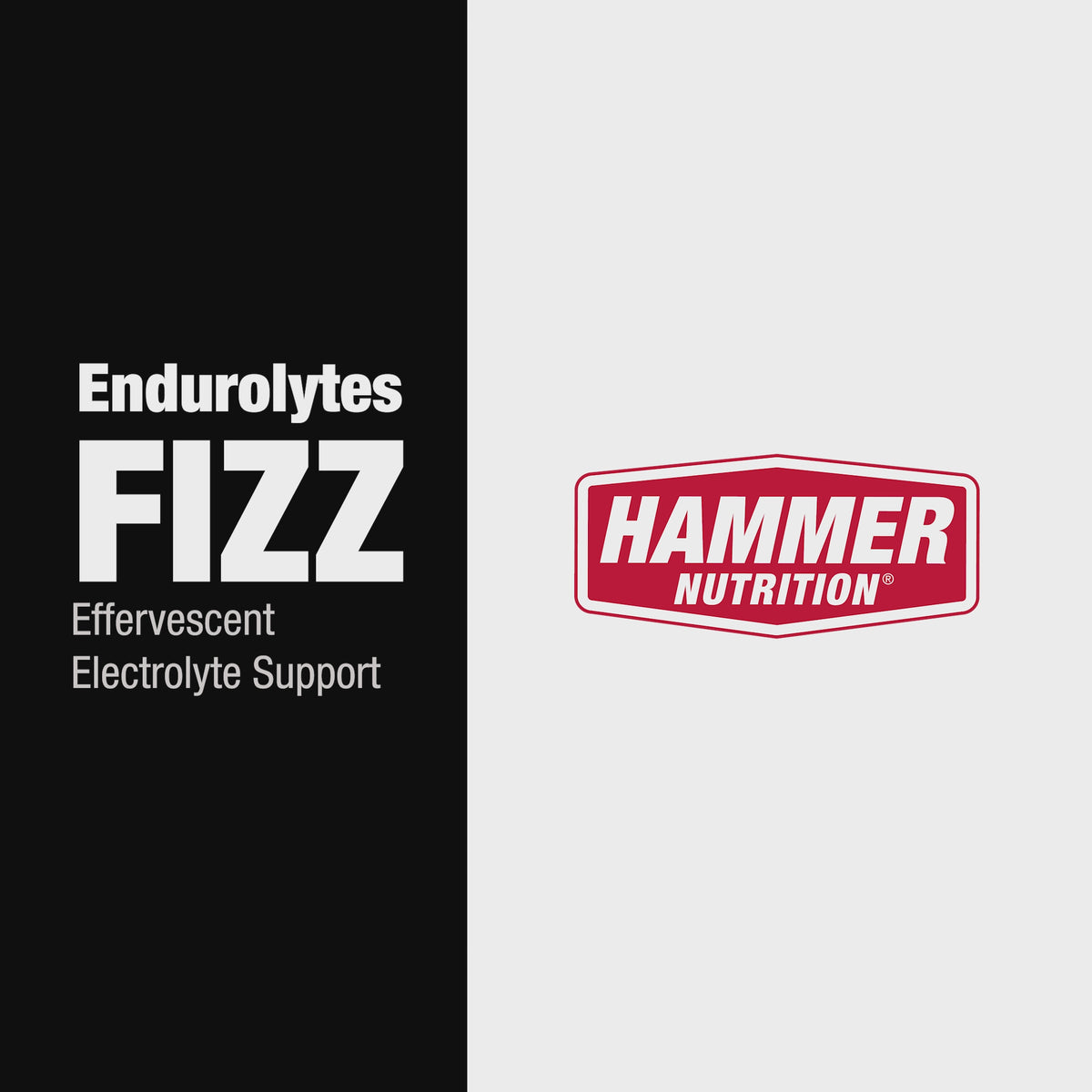 Endurolytes Fizz®